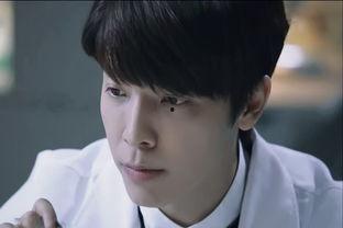 李东海娱乐节目,笑料百出，魅力四射的综艺之旅